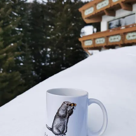 Panorama * Warth (Vorarlberg)